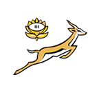 South Africa Rugby Team Logo